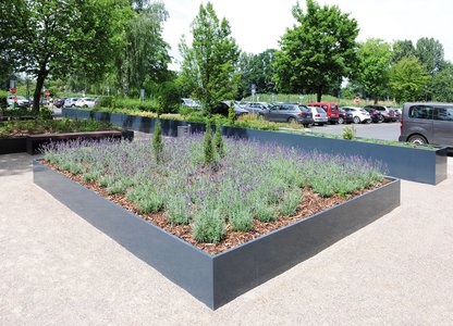 Groenblijvende planten, zoals hier beplanting van een groot oppervlak met lavendel, zorgen het hele jaar voor een mooie uitstraling van de plantsystemen.