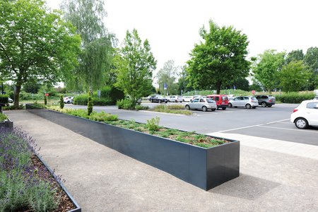 De verhoogde uitvoering van de plantsystemen strekt zich uit over de volledige lengte van het oppervlak en vormt de grens tussen het groen en de parkeerplaats.