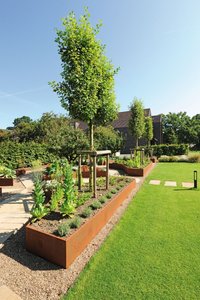 The half-star raised beds positioned along the edge of the lawn delineate the vegetable garden from the rest of the outdoor area. Espalier apple trees and herbs add a splash of colour to the raised bed elements.