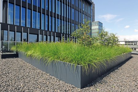 In de plantsystemen op de hooggelegen terrassen domineren grassen als onderhoudsvriendelijke, robuuste beplanting.