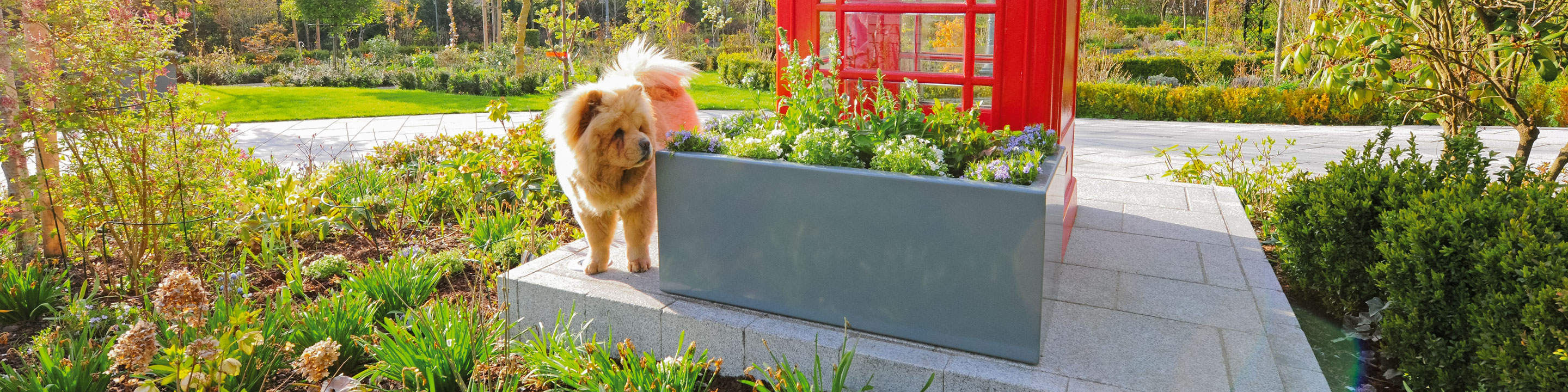 Wasserdichter Pflanzkasten Clarus ohne Fugen im Garten mit einem kleinen Hund