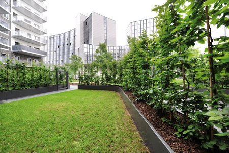 Hornbeam hedges have plenty of space in the containers. The tall-growing plants protect the privacy of the residents.