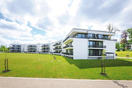 Grouped into different sections, all the apartments are surrounded by greenery and face the water.