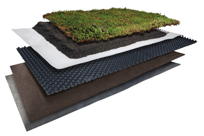 "Terra" green roof system with substrate for industrial halls and company buildings
