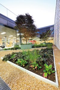 The planners from 3Plus Freiraumplaner Kloeters Müller Kastner PartGmbB Landschaftsarchitekten + Architekt chose different colours and shapes for the raised beds and edging solutions, providing vivid contrasts.