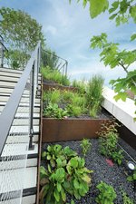 So wurden beispielsweise auch die Hochbeete entlang der Etagenübergänge in vertikalen Abschnitten platziert, sodass das Konzept des ökologischen Mehrwerts mit integriertem Wassermanagement vor Ort perfekt aufgeht.  Foto: Richard Brink GmbH & Co. KG