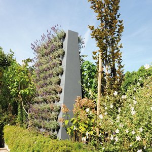 Die Pflanzwand verschönert Gärten und bietet mehr Platz zum Gärtnern in die Höhe