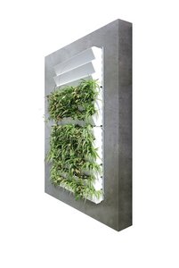 Customers can choose from three different substructures for securing the living wall to the façade. Here you can see the self-supporting version, which combines top-hat rails with stepped plant cassettes for vertical planting.  Photo: Richard Brink GmbH & Co. KG
