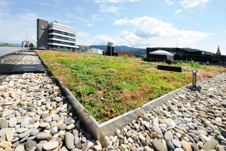 Für die Dachbegrünung lieferte die Firma Richard Brink insgesamt 882 m ihrer Substratschienen. Diese fassen die Sedum-Matten elegant ein.