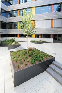 The raised beds were planted with hardy, cold-weather perennials, shrubs and a tree in the middle of the inner courtyard. The pupils can enjoy these green areas for a long time to come. 