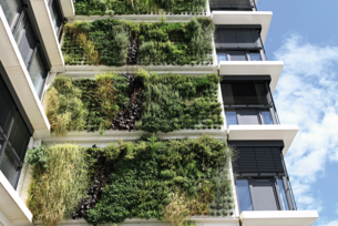Eine Fassade von einem Hochhaus wurde zu einer dicht bepflanzten Grünwand mit der Pflanzwand Adam Unterkonstruktion von Richard Brink