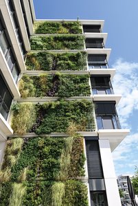 The approx. 50,000 plants now make up a seamless green surface. This not only creates visual highlights, but also helps protect and insulate the building’s structural fabric. Additionally, it creates a valuable habitat, filters particulate matter out of the air and binds CO2.  Photo: Richard Brink GmbH & Co. KG