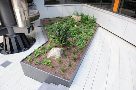 Geometric shapes such as squares and triangles define the structure of the raised beds. They help structure the courtyard area and come into their own as architectural design elements.