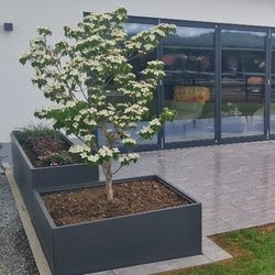Pflanzkasten Modular verbaut von AZ-Gartengestaltung GmbH