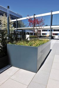 The idea was to create an appealing design for the entrance area to the extension through the use of greenery. As an underground car park is located beneath the space, an upward planting system was the only option. 