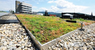 Om het potentieel van dakoppervlakken volledig te benutten, zijn groene daken de ideale oplossing die past bij modern en duurzaam bouwen. De firma Richard Brink brengt meteen drie complete systemen voor extensieve dakbegroeiing op de markt.  Foto: Richard Brink GmbH & Co. KG