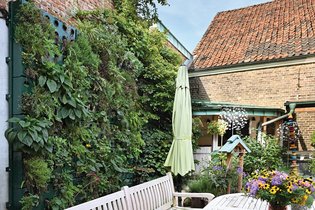 Dans la ville de Wesel, tout à l’ouest de l’Allemagne, la cour intérieure d’une maison a pu se parer de vert grâce aux murs végétalisés modulaires « Adam » de la société Richard Brink. Et cette nouvelle verdure est faite pour rester.  Photo : Richard Brink GmbH & Co. KG
