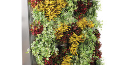 De nieuwe plantwanden van het type Eva van Richard Brink creëren dankzij hun verticale oriëntatie geheel nieuwe groenvoorzieningen binnen en buiten op plaatsen waar anders geen ruimte is voor beplanting.