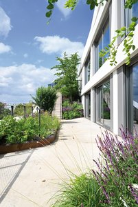Die Vegetation ziert auch den gesamten Aufstieg, durch den jede Mieteinheit einen eigenen Zugang zum Außenbereich erhält, und begrünt das Gebäude vom Sockel bis zum Dach. In den Laibungsbereichen an den Türen und Fenstern der Glasfassade stellen dabei die Betonrinnen „Fortis“ zusammen mit den gusseisernen Designrosten „Zippa“ die Entwässerung sicher.    Fotos: Richard Brink GmbH & Co. KG
