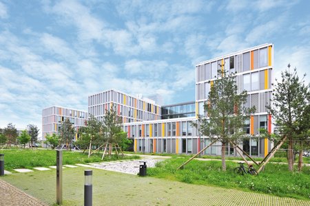 The building complexes are oriented to face the central campus axis, which reveals an interplay of coarse vegetation and stony surfaces. With its integrated drainage trenches, the green belt also serves to drain away rainwater.