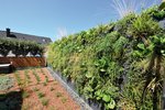Um nicht mit der Vegetation am Boden konkurrieren zu müssen, wurden die untere Elemente der vertikalen Gärten dabei bewusst als neutrale Sockelbereiche gestaltet. Die Richard Brink GmbH & Co. KG bietet hierzu verschiedene Konfigurationsmöglichkeiten ihrer Pflanzwand „Eva“ an.  Foto: Richard Brink GmbH & Co. KG
