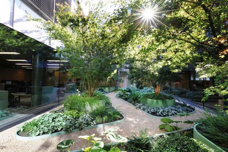 Raised beds along with drainage channels and branch channel systems from Richard Brink GmbH & Co. KG were used to plant and dewater the two outdoor areas. 