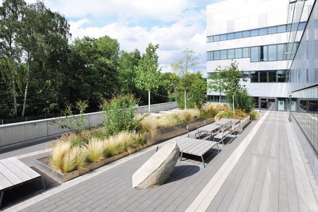 De combinatie van plantsystemen in verschillende hoogtes verdeelt het gebied in meerdere ruimtes en maakt het speelser.