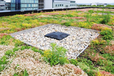 The substrate rails reliably separate the planted areas from the adjacent gravel fill. They also enable the flow of any rainfall.