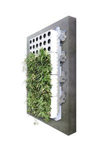 The plant cassettes, such as the vertical modules shown here that are filled from the side, can also be combined with a special substructure for thermal insulation composite systems.  Photo: Richard Brink GmbH & Co. KG