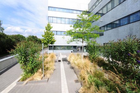 Der Außenbereich eröffnet den Studierenden auch dank der Hochbeete der Firma Richard Brink einen ansprechenden Rückzugsort. Dieser trägt besonders an sonnigen Tagen zum Wohlbefinden der Besucher bei.