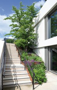 Entlang der Stufen fungieren Elemente aus Cortenstahl zugleich als Treppenwangen und Beeteinfassungen. Für die insgesamt 2.200 m2 große Dachfläche setzte die Firma Richard Brink vielerlei Anforderungen als individuelle Sonderlösungen um.  Fotos: Richard Brink GmbH & Co. KG