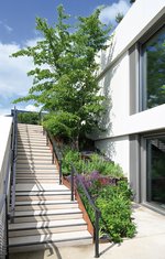 Entlang der Stufen fungieren Elemente aus Cortenstahl zugleich als Treppenwangen und Beeteinfassungen. Für die insgesamt 2.200 m2 große Dachfläche setzte die Firma Richard Brink vielerlei Anforderungen als individuelle Sonderlösungen um.  Fotos: Richard Brink GmbH & Co. KG