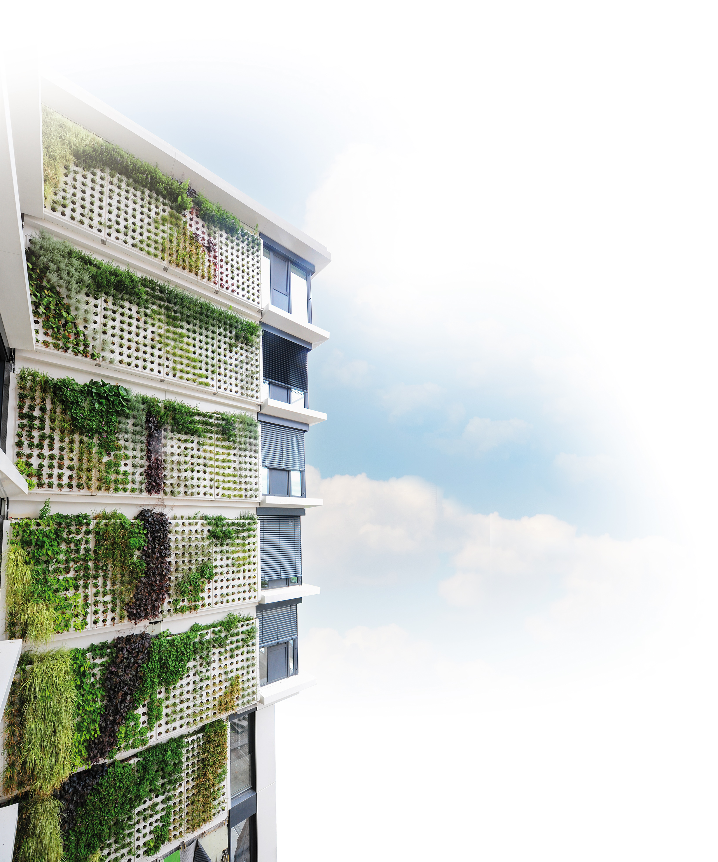 With its new Adam living wall, the company Richard Brink now provides a solution for large-scale façade planting.