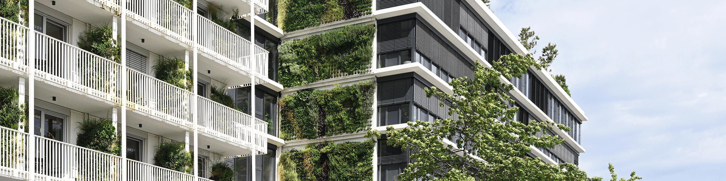 Die Pflanzwand Adam von Richard Brink wird zur Fassadenbegrünung an einem modernen Hochhaus eingesetzt
