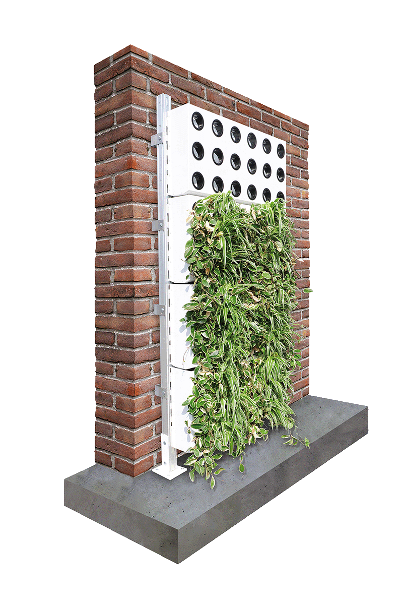 Pflanzwand Adam Unterkonstruktion mit Bodenfüßen der Firma Richard Brink