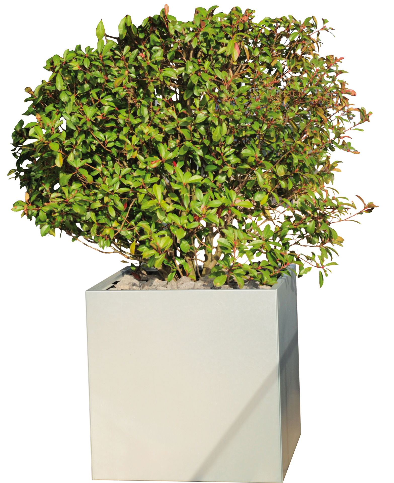 Plant box with panels